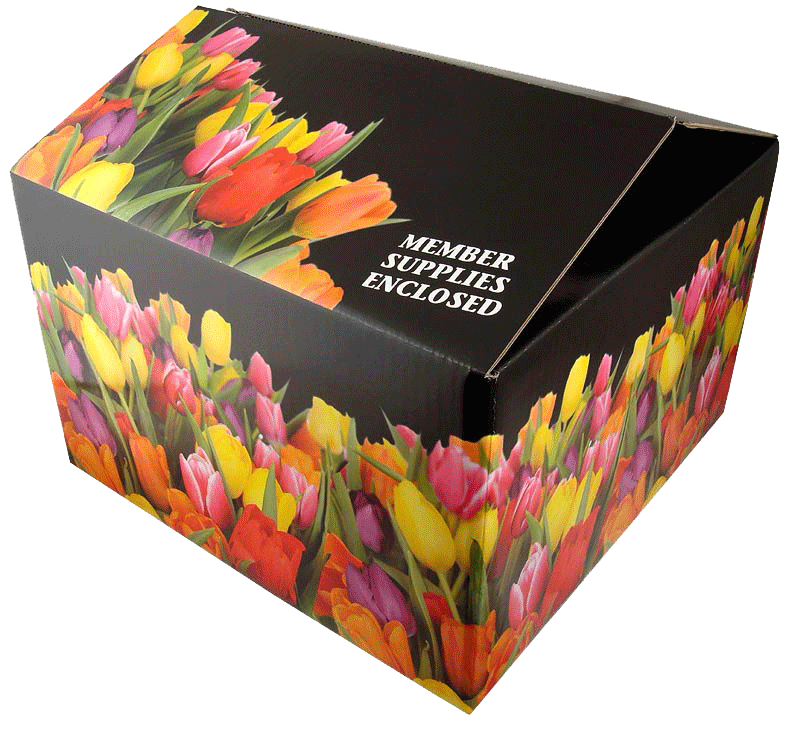 Duplex & Multicolour Boxes packaging by Kraftboat Industries