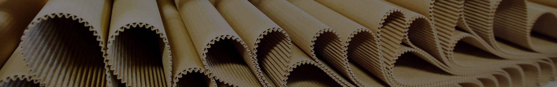 EPE Foam Roll Manufacturers in Bengaluru
